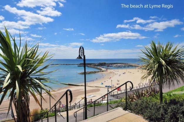 Little Monmouth 4 Bedroom Cottage, Old Town Lyme Regis, Dog Friendly And Parking المظهر الخارجي الصورة