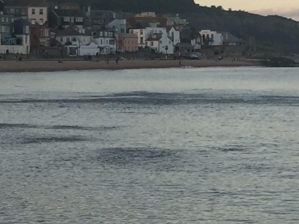 Little Monmouth 4 Bedroom Cottage, Old Town Lyme Regis, Dog Friendly And Parking المظهر الخارجي الصورة